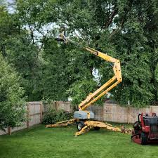 Best Tree Trimming and Pruning  in Homerville, GA